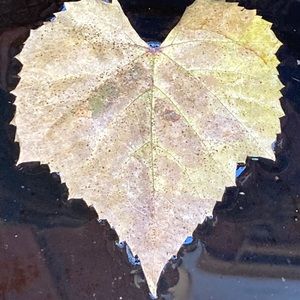 Meet your Posher, Sue